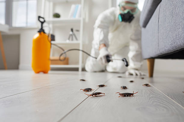 Commercial Kitchen Cockroach Control in McFarland